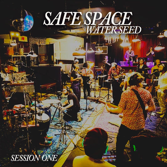 Pre-Order Water Seed Safe Space Vinyl Album